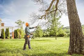 Best Hedge Trimming  in Newark, TX